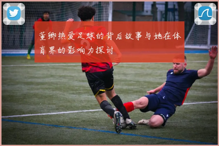 董卿热爱足球的背后故事与她在体育界的影响力探讨