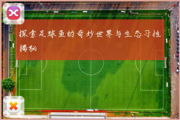 探索足球鱼的奇妙世界与生态习性揭秘