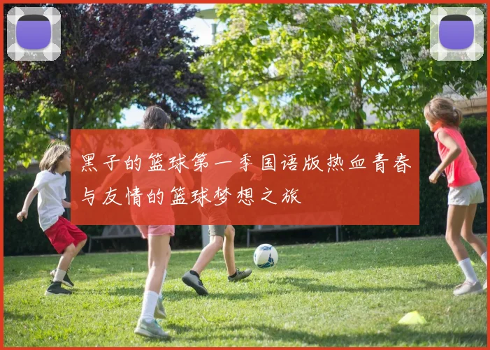 黑子的篮球第一季国语版热血青春与友情的篮球梦想之旅