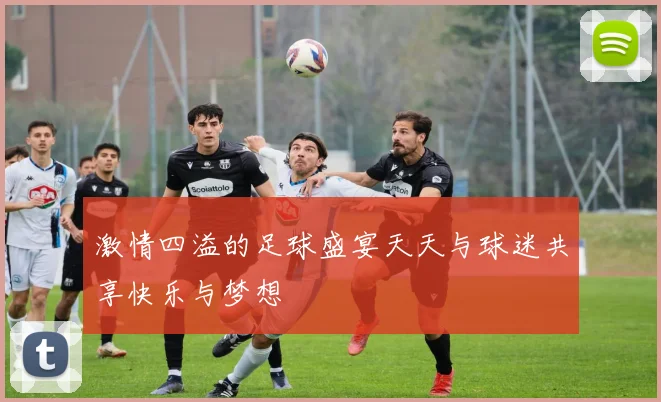 激情四溢的足球盛宴天天与球迷共享快乐与梦想