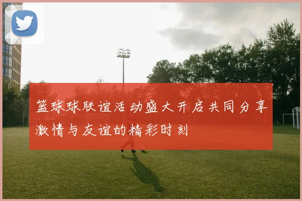 篮球球联谊活动盛大开启共同分享激情与友谊的精彩时刻