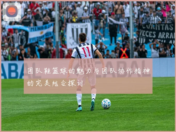 团队鞋篮球的魅力与团队协作精神的完美结合探讨