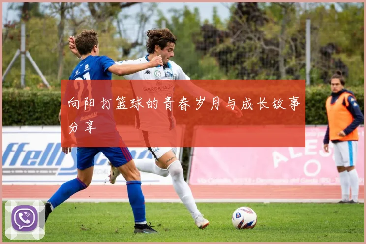 向阳打篮球的青春岁月与成长故事分享