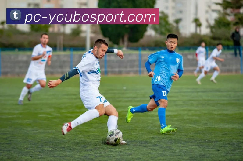 友博官网全站App